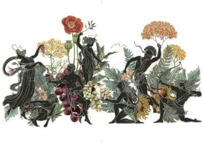 Four Herbal Myths from Ancient Greece