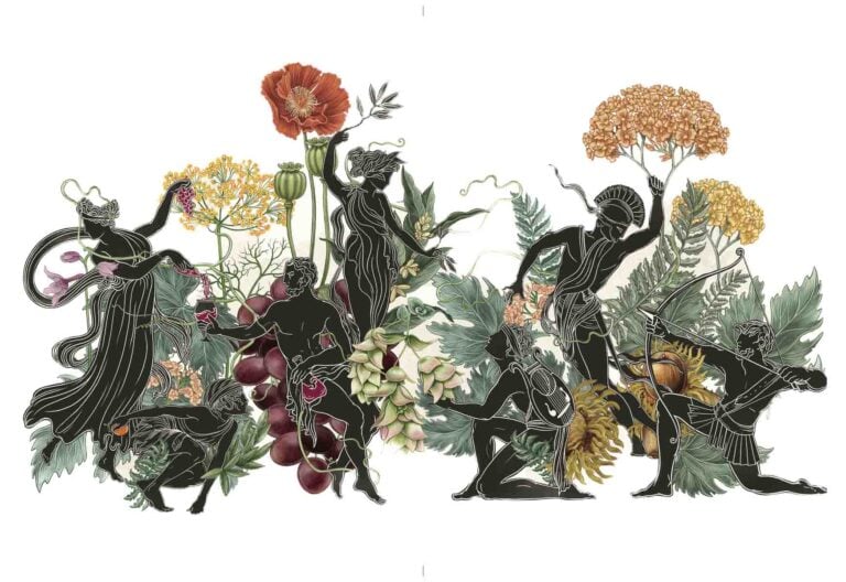Four Herbal Myths from Ancient Greece