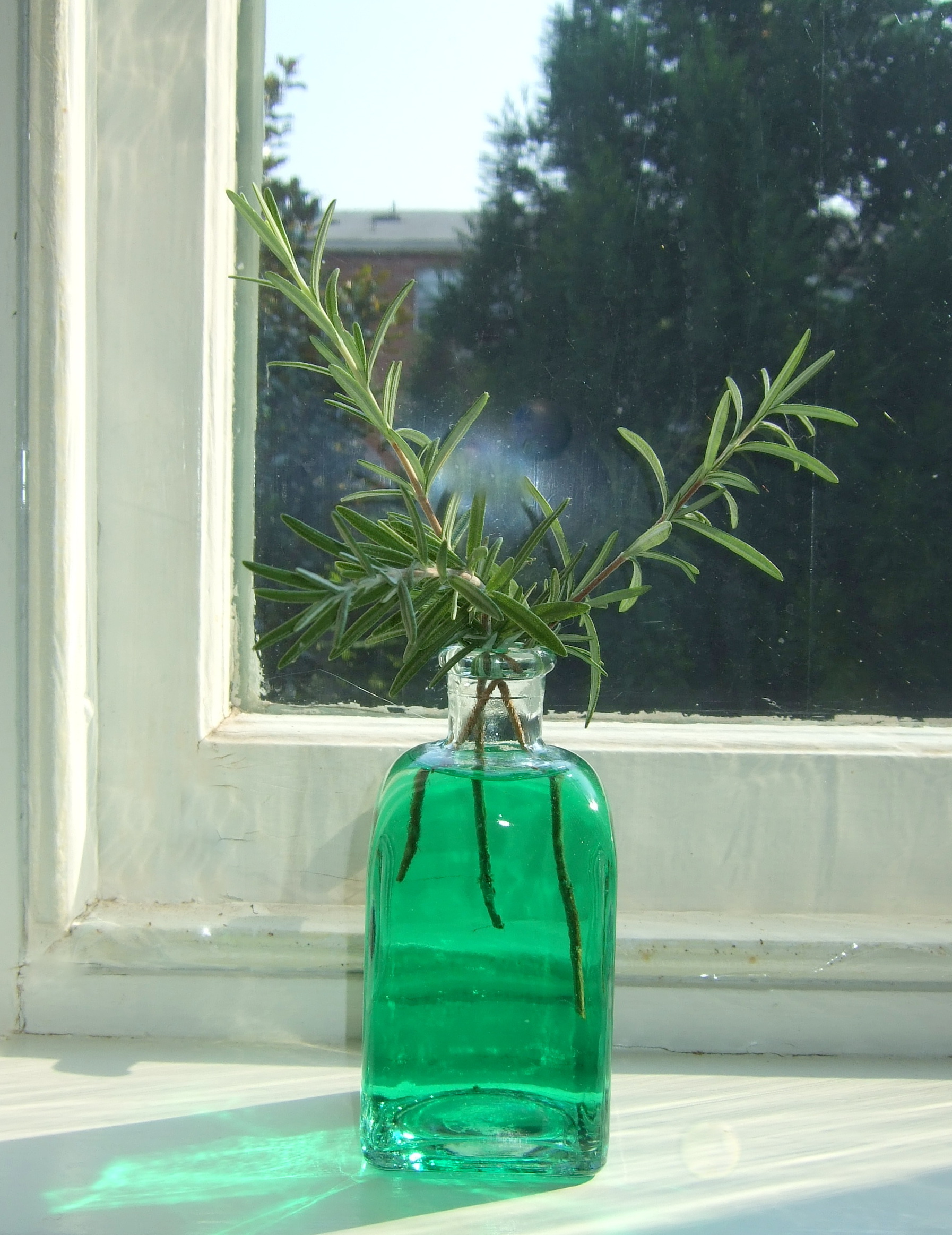 Green_bottle