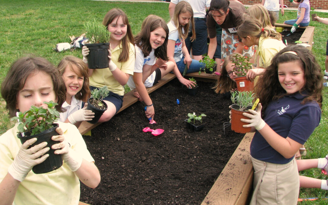 Herb Society Grants Money for Classroom Gardens