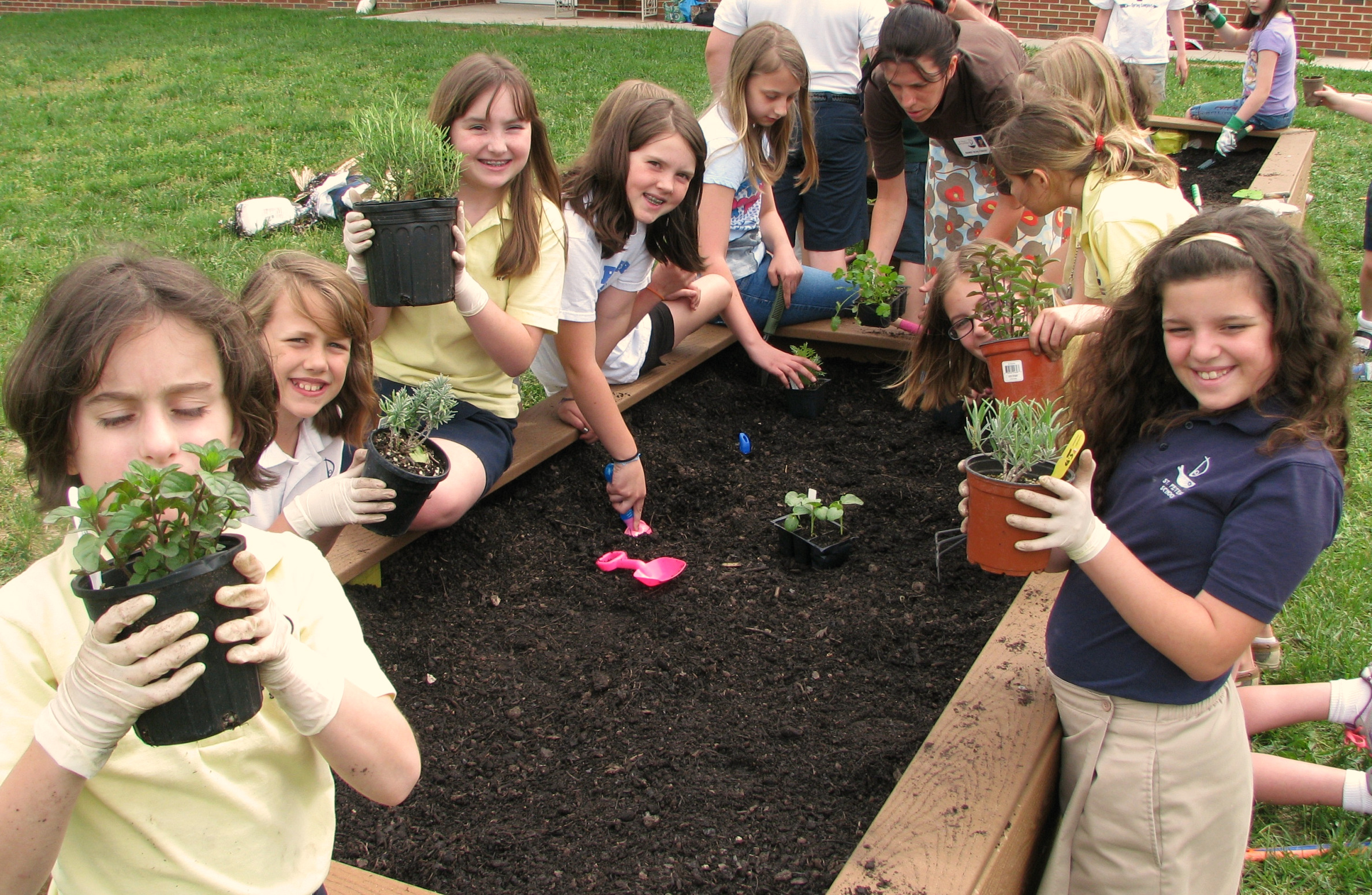 kidsgardening