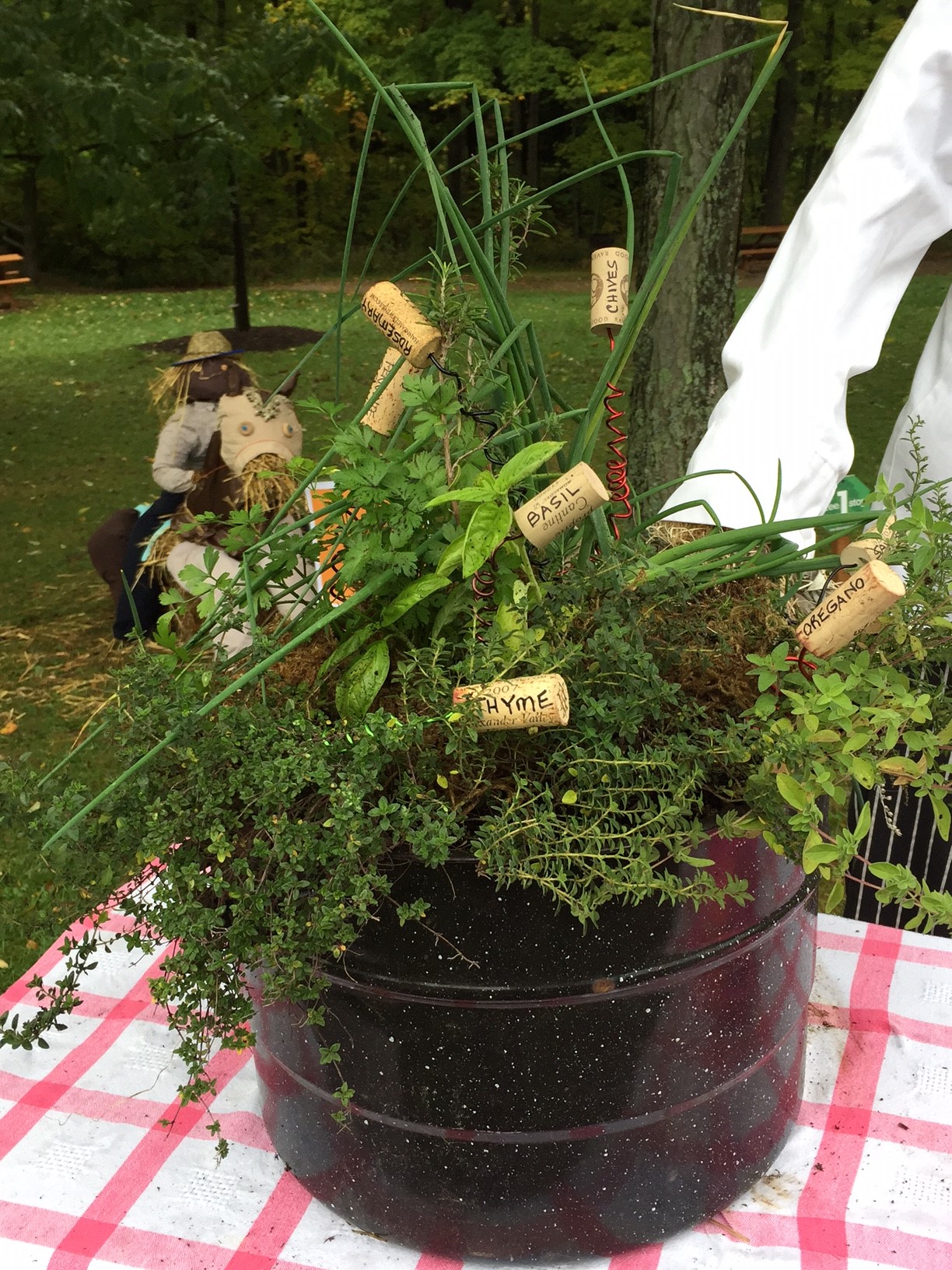 scarecrow-chef-pot