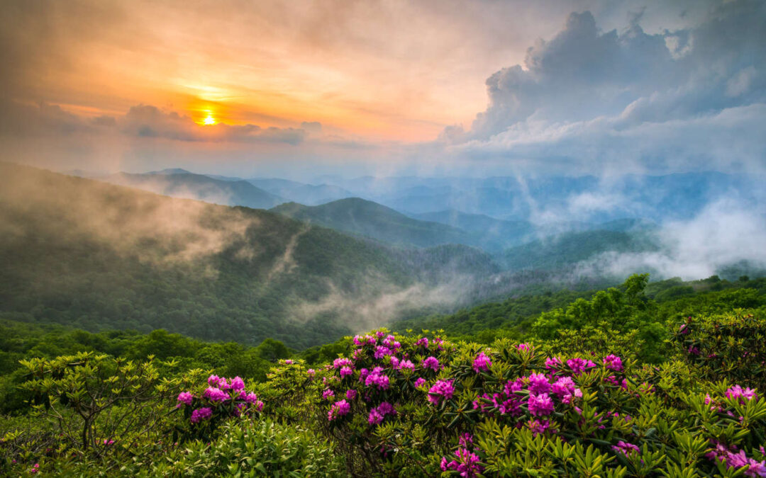 Plan Ahead for the Asheville Annual Meeting and Spring Herb Festival