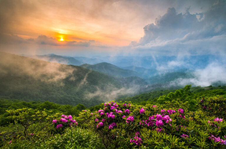 Plan Ahead for the Asheville Annual Meeting and Spring Herb Festival