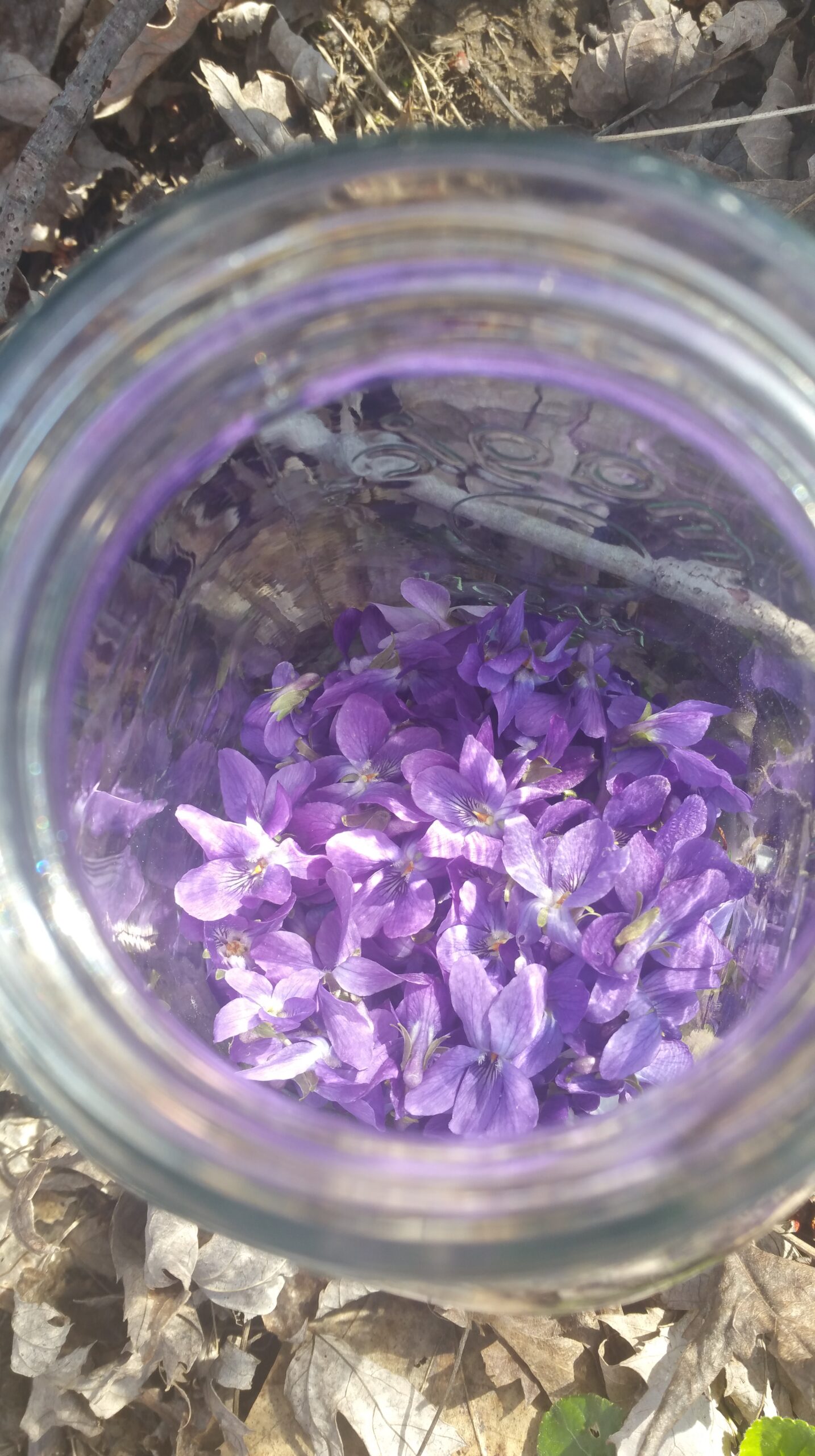 glass jar