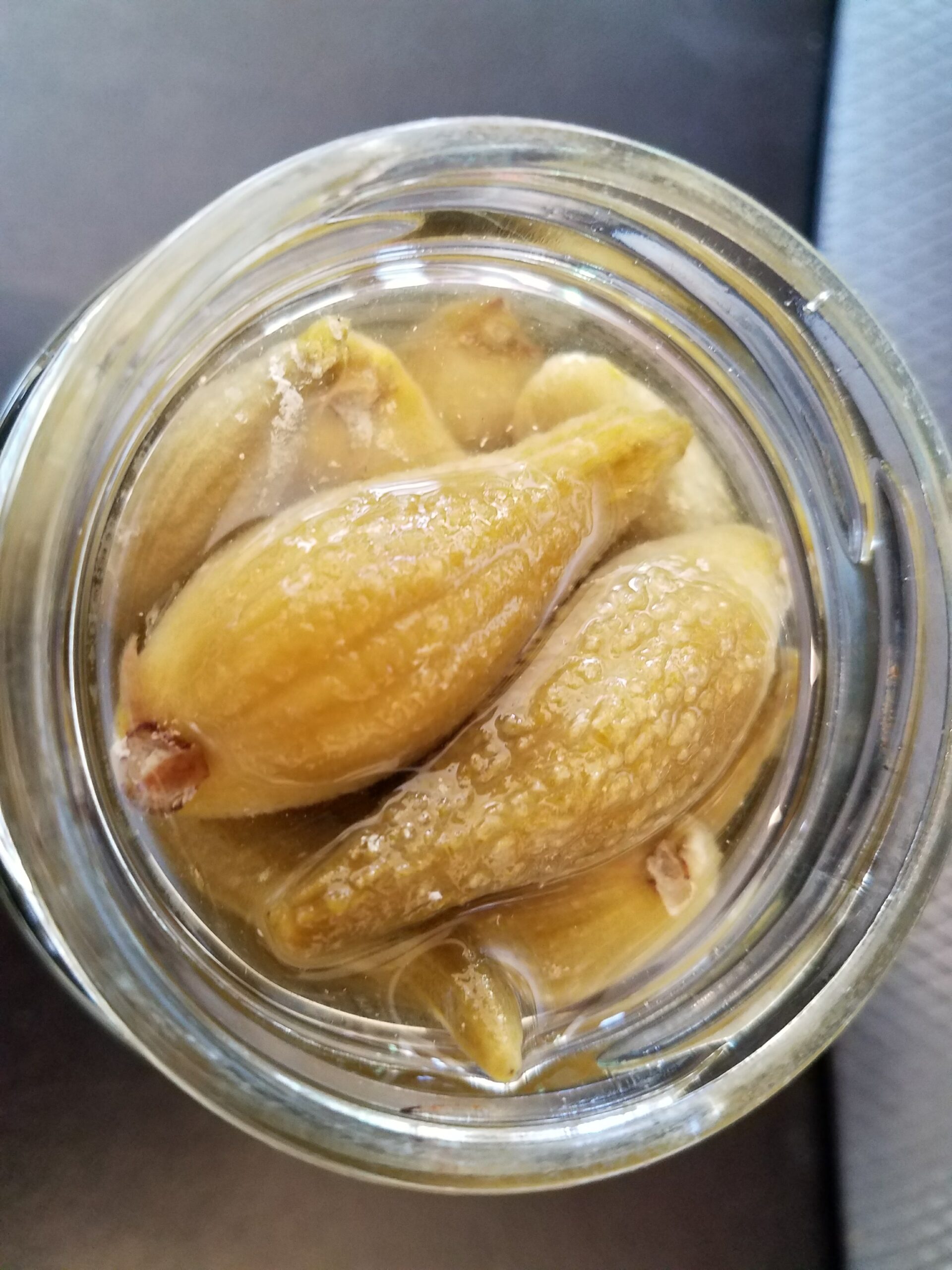 Milkweed pods
