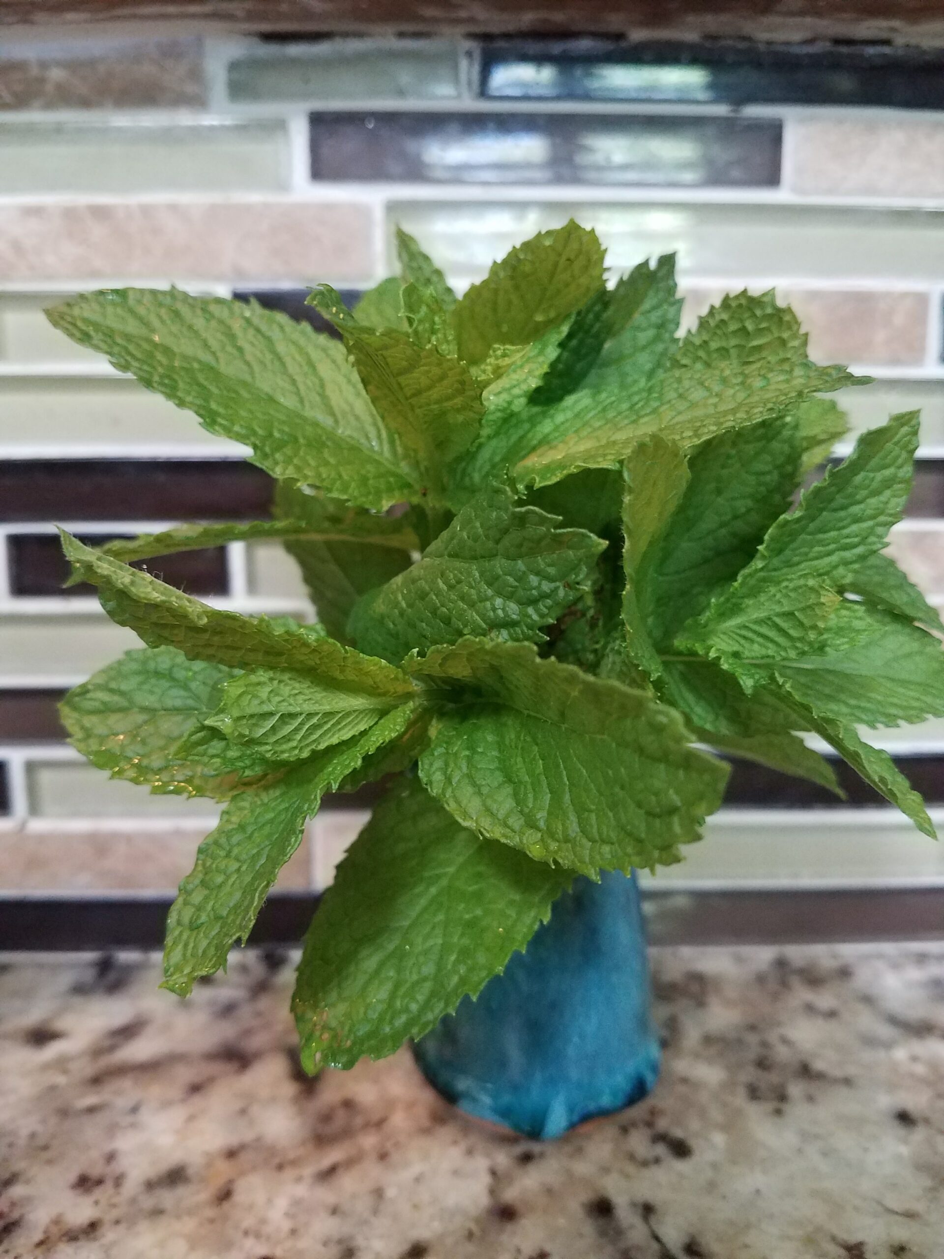 20170624_142150