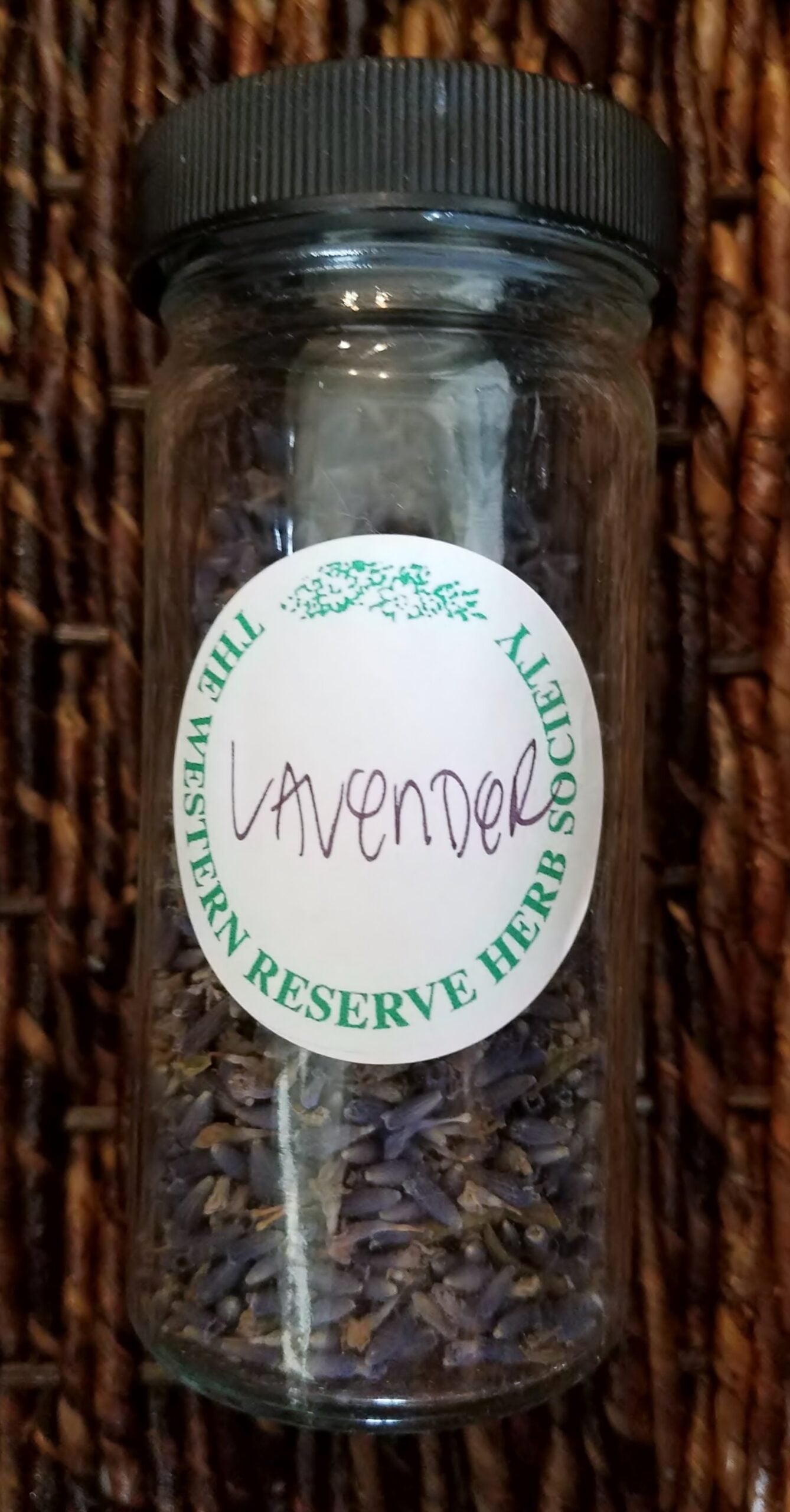 Lavender