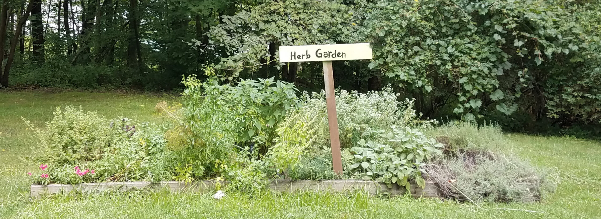 Herb garden