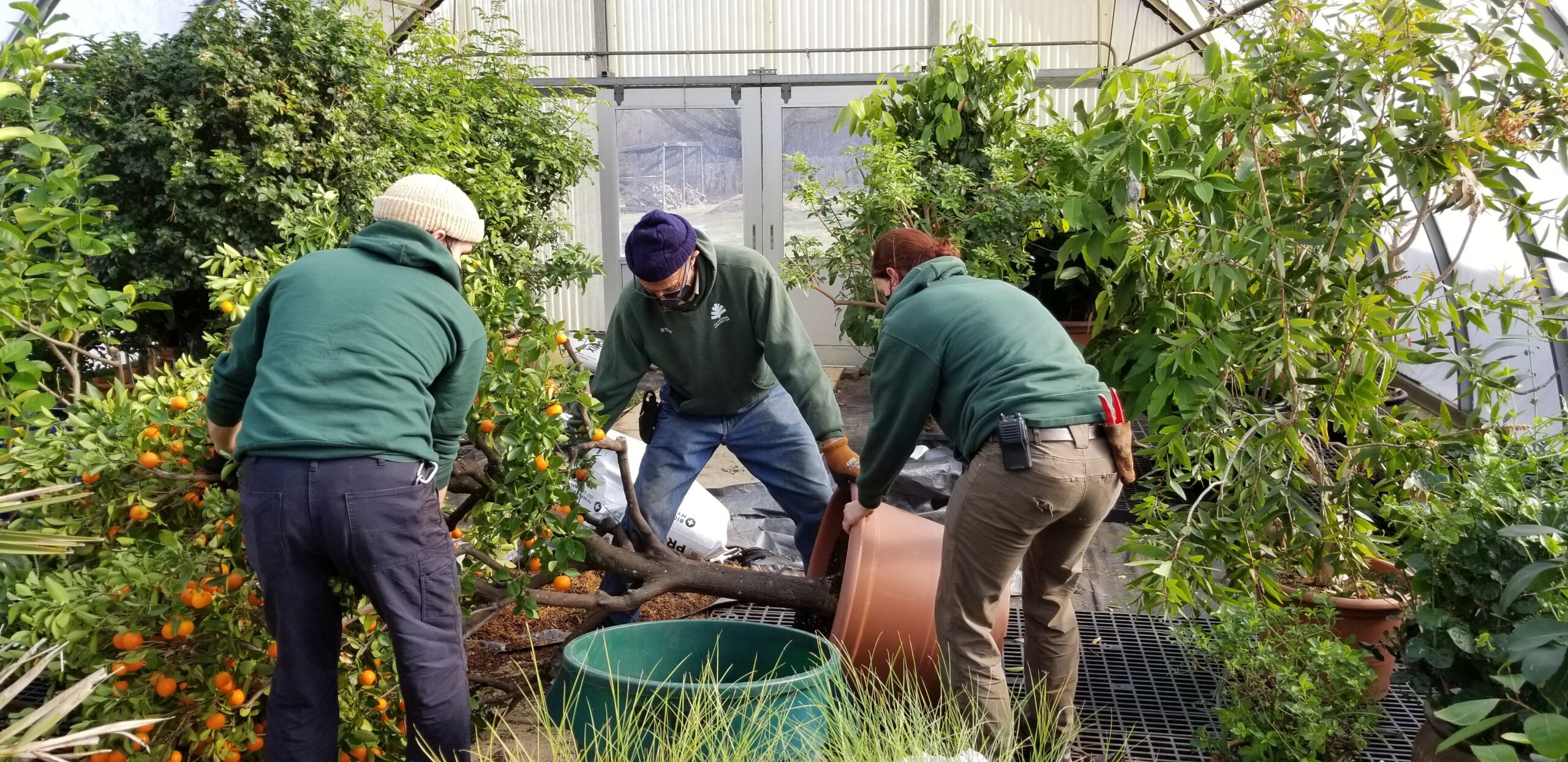 Staff handling heavy containers