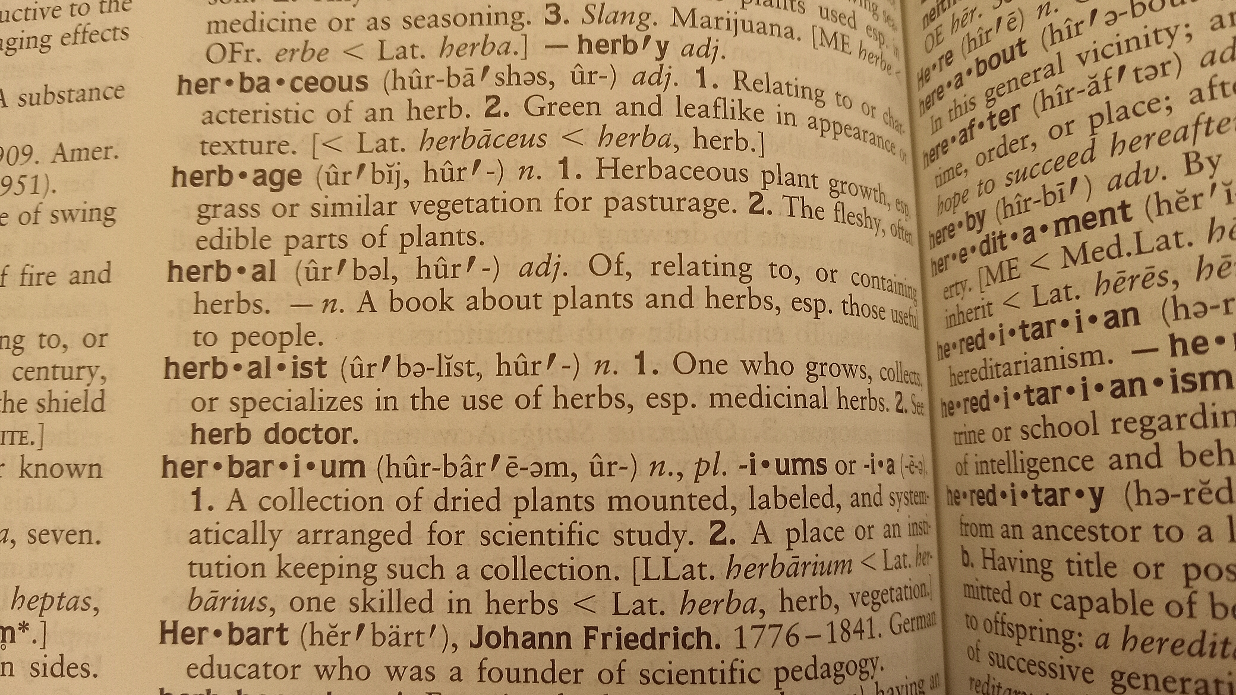picture of dictionary page