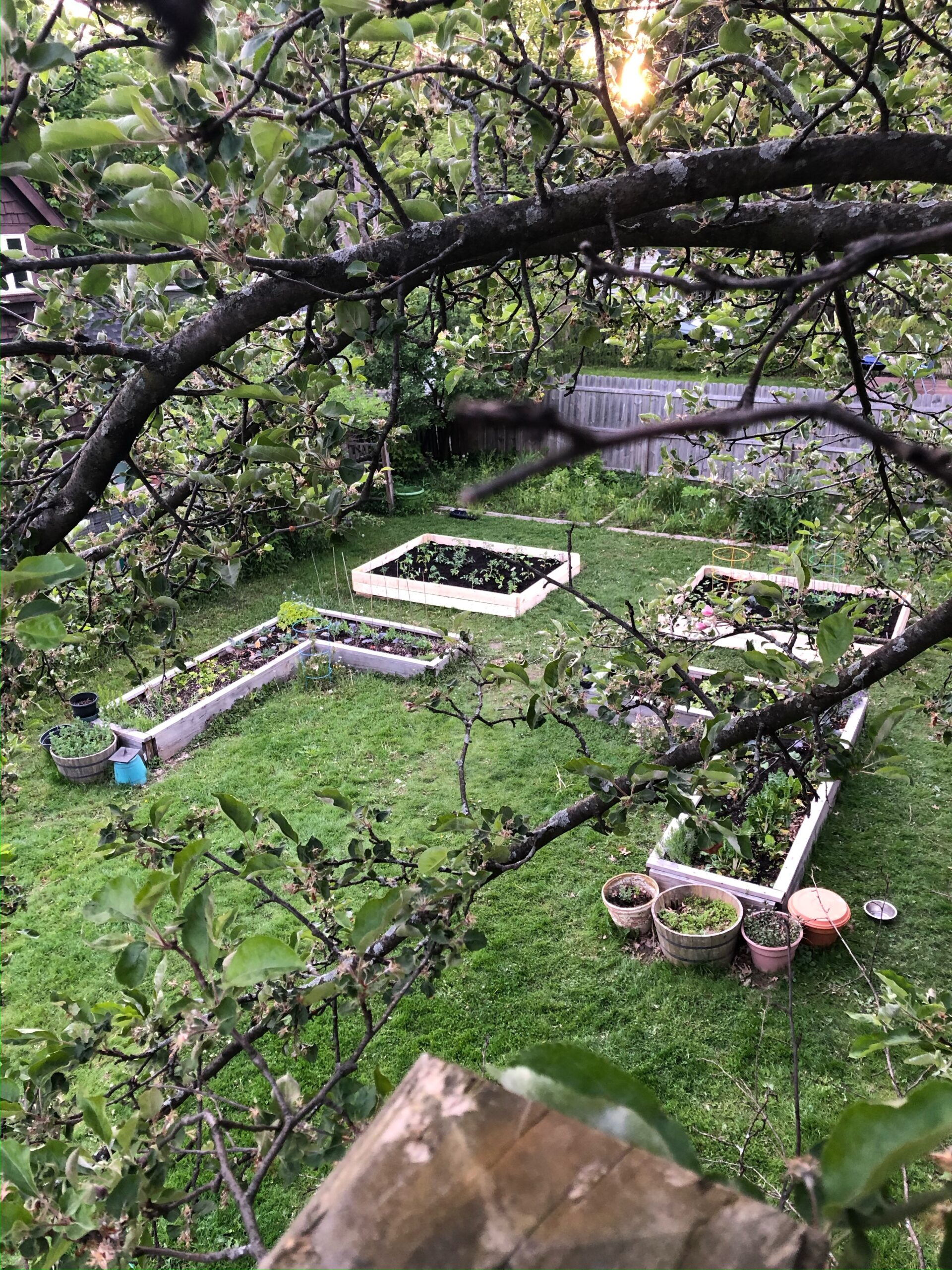 Herb garden