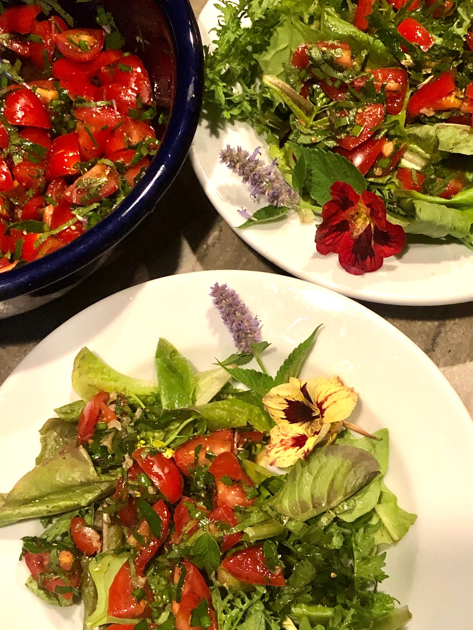 3-plates-of-tomatoes-and-anise-hyssop