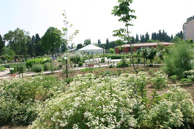 Turkey’s first medicinal plant garden