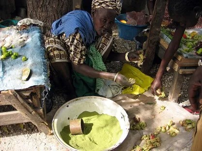 Woman kneeling by a bowl of powdered green baobab leaves