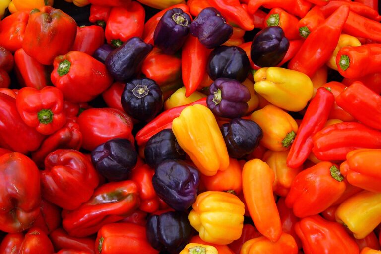 Chile Pepper