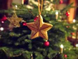 The History of the Christmas Tree