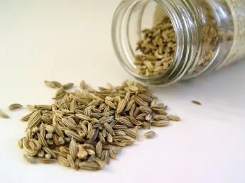Fennel seed by Howcheng via wikimedia