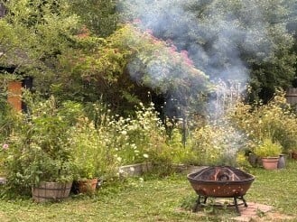 From Harvest to Hearth: Herbs for the Autumnal Equinox