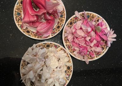 Syrupy Sweet Magnolias!