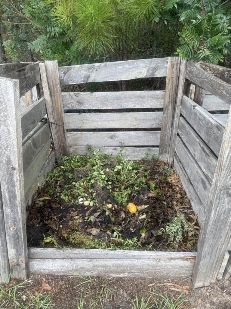 Small herb garden bed with fallen fruit and plants, surrounded by wooden fencing.
