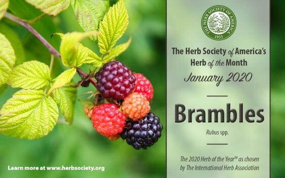 International Herb Associations Herb