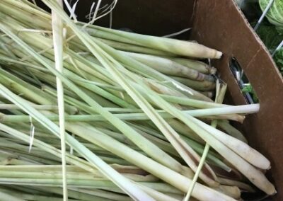 Add Lemongrass to Your Garden Plans