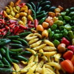 An array of chile pepper cultivars displayed in a basket