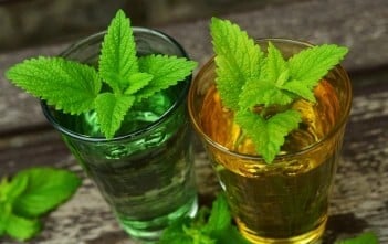 Herb of the Month – Lemon Balm – Medicine for the Plague and the Blues
