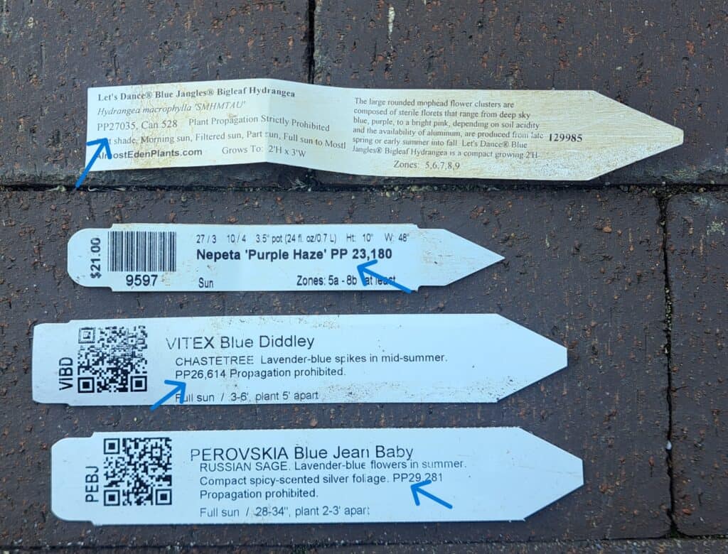 Three plant seed packets with labels for herbs and flowers on a dark surface.