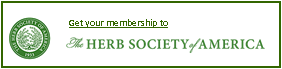 Advertisement 4
