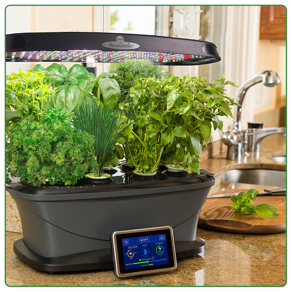 Aerogarden-1