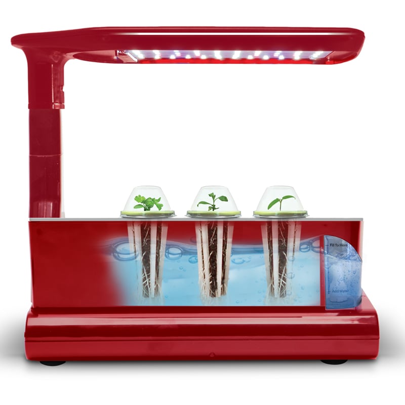 Aerogarden-sprout-2