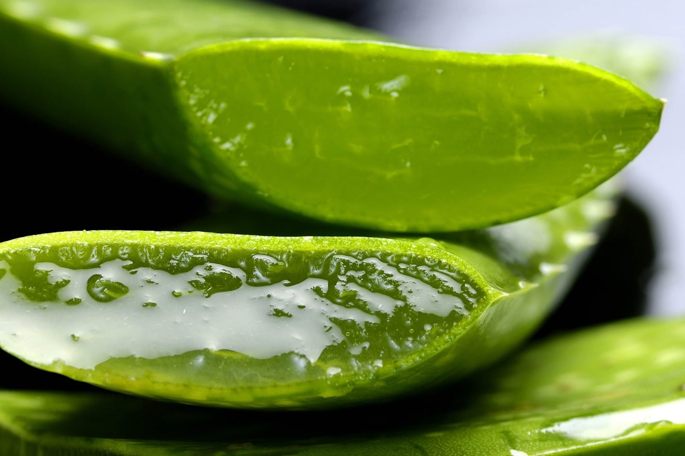 Aloe Vera leaf