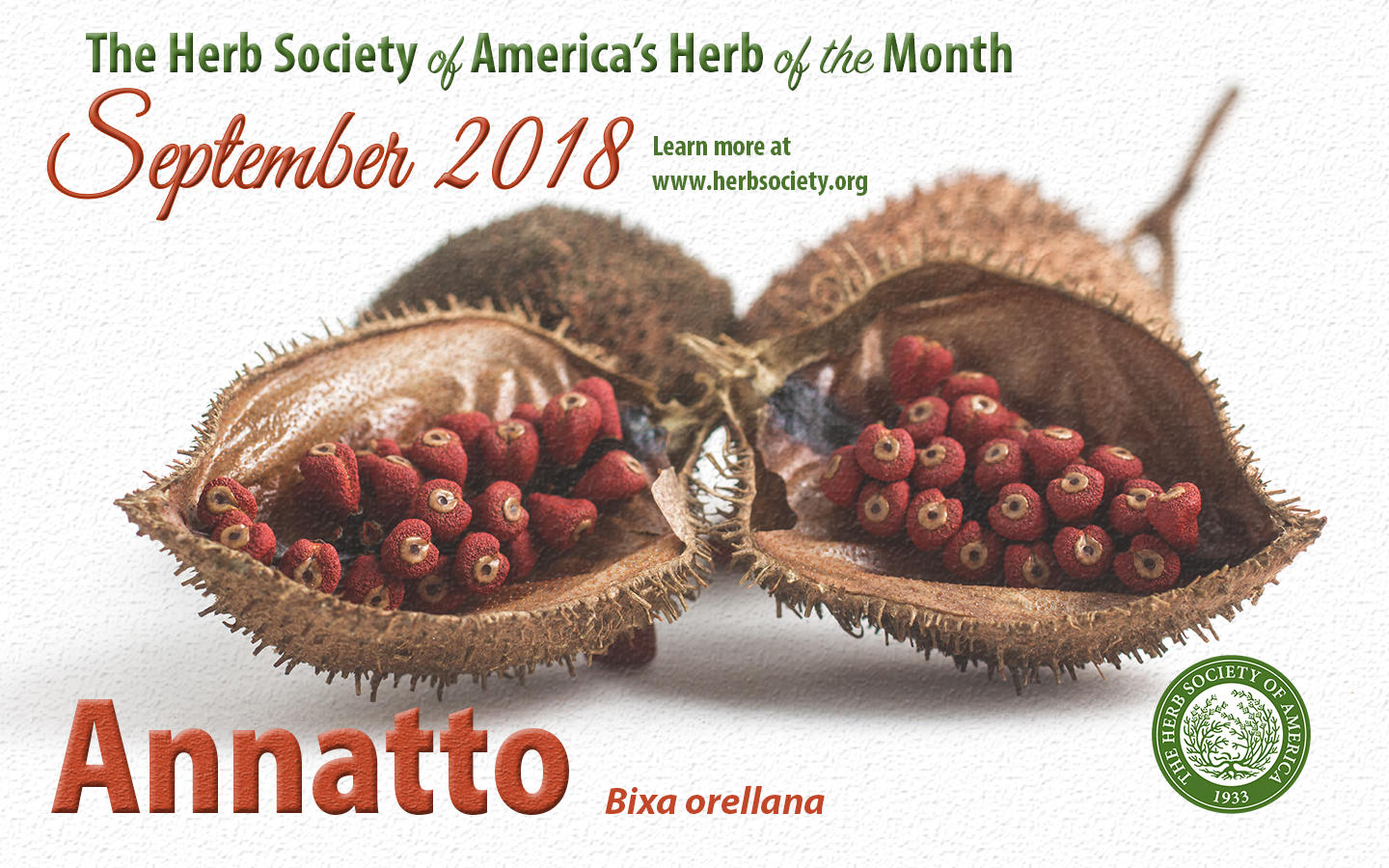 Annatto Wallpaper