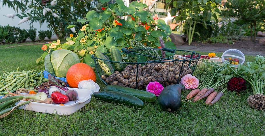 A collection of harvested veggies and flowers on the grass