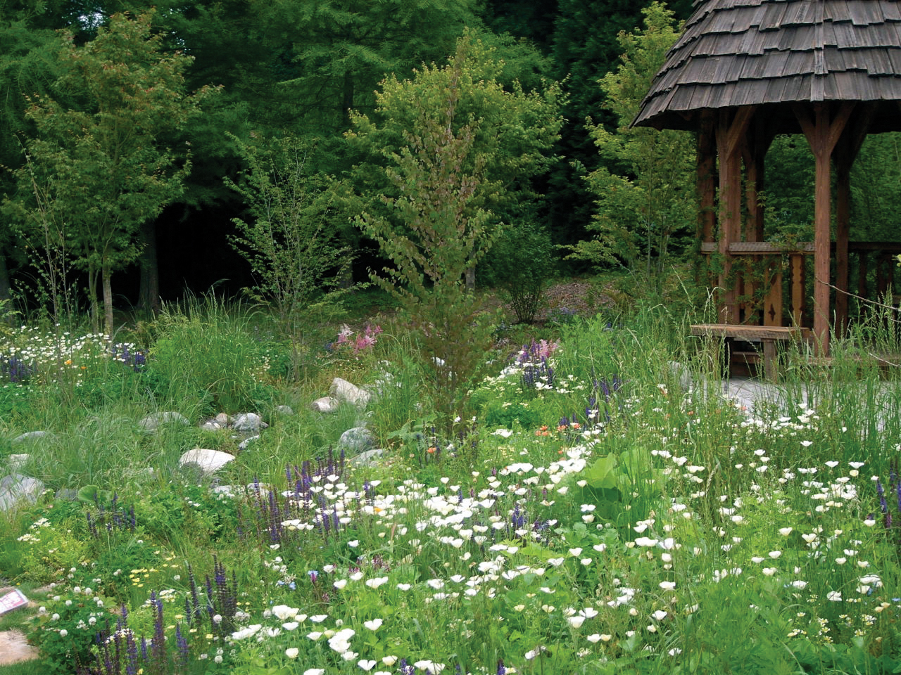 Bee friendly garden
