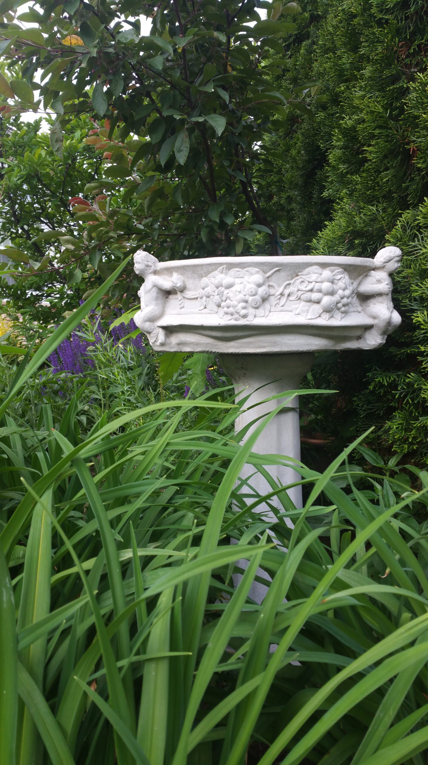 bird bath