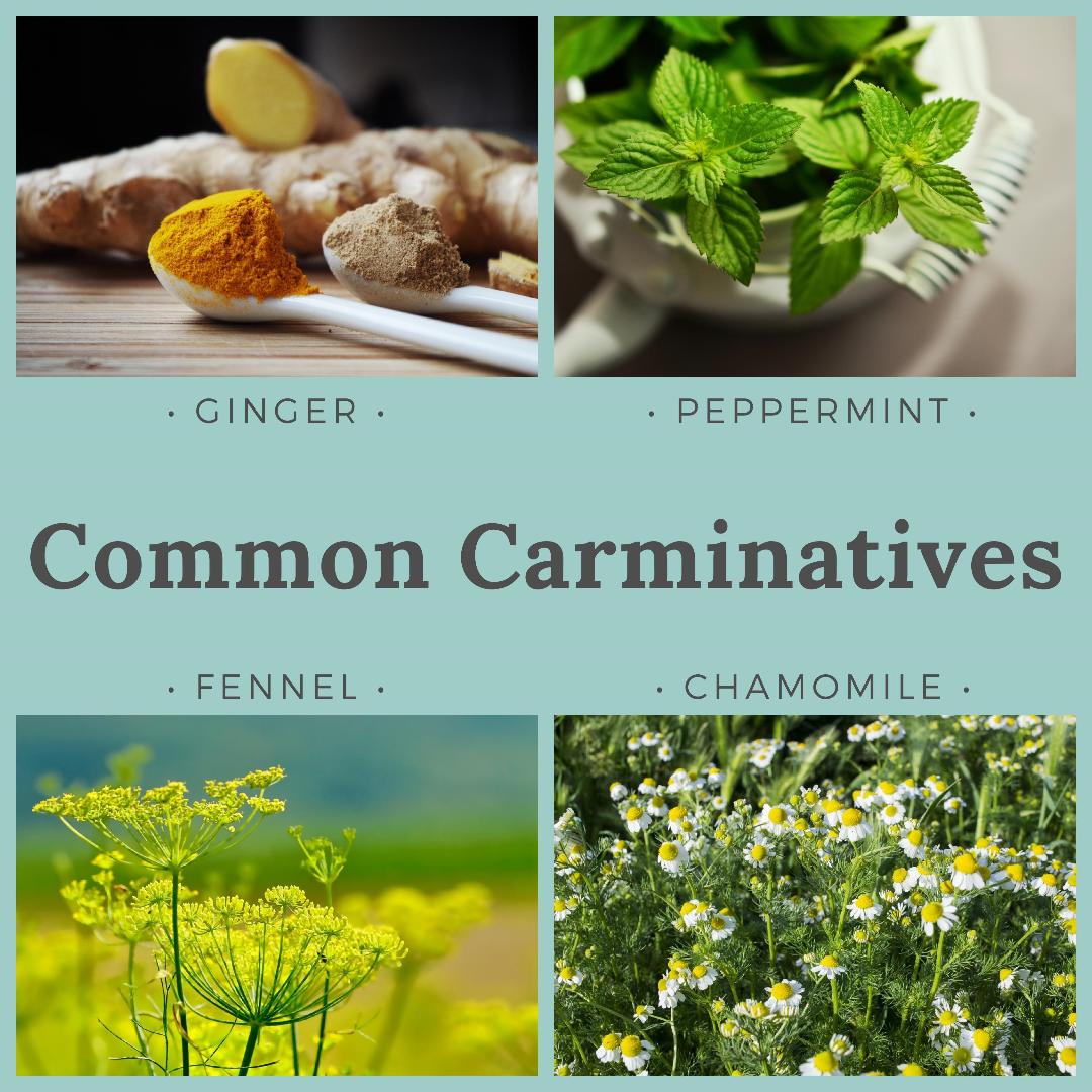 Blog carminatives