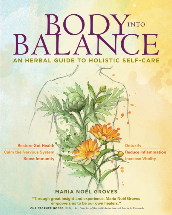 BodyIntoBalance Cover