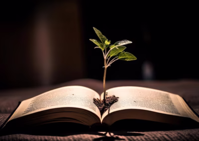 Herb Society Book Clubs Choose Favorite Reads of 2025