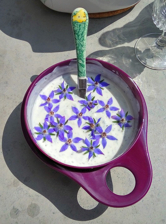 Borage and cream