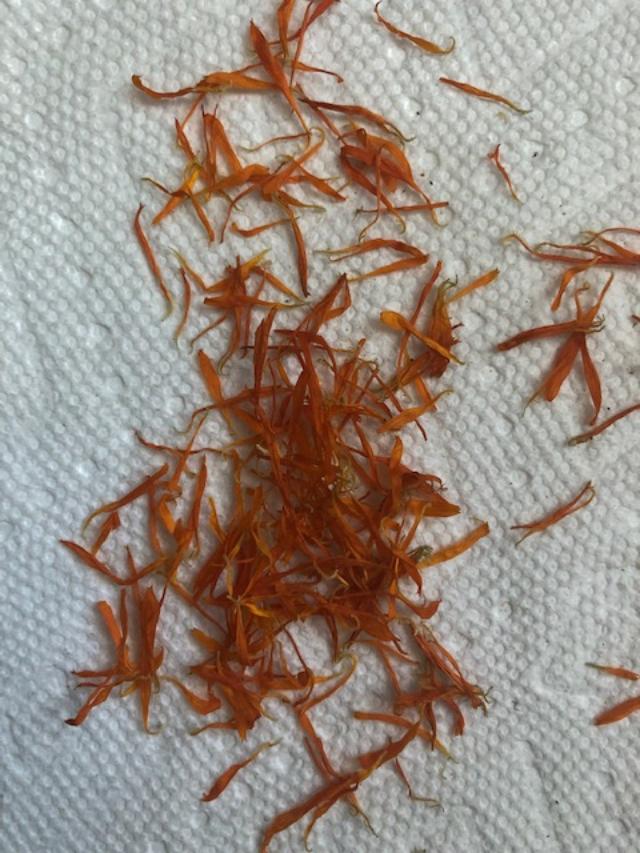 Orange calendula petals on a white paper towel