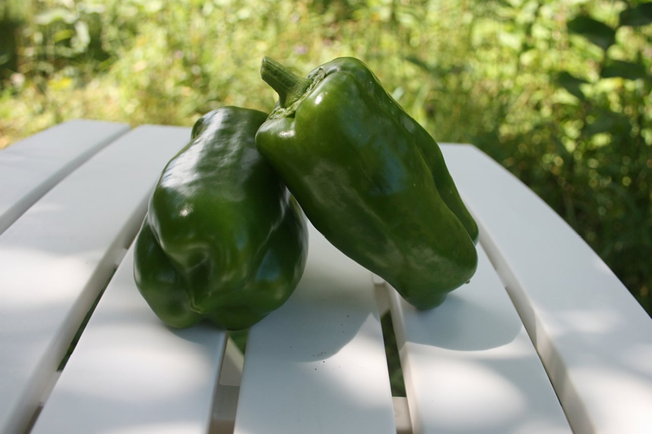 picture of California Wonder green peppers
