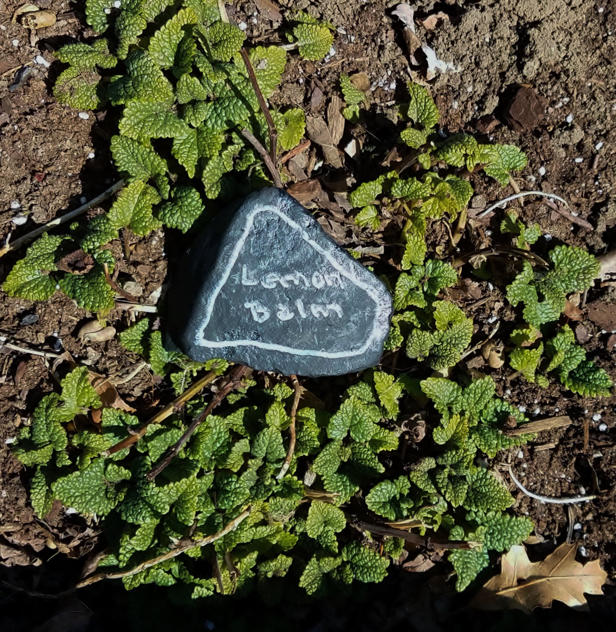 Chalkboard paint (23)