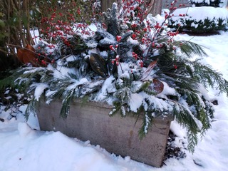 Christmas greens