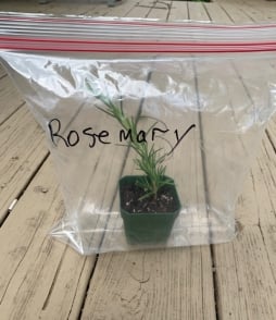 Cutting in bag