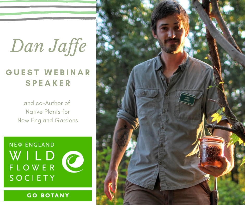 dan jaffe