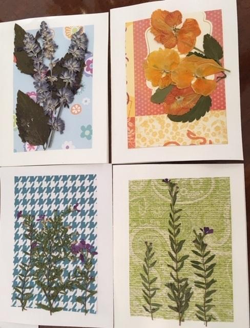 Dianne herbs on card