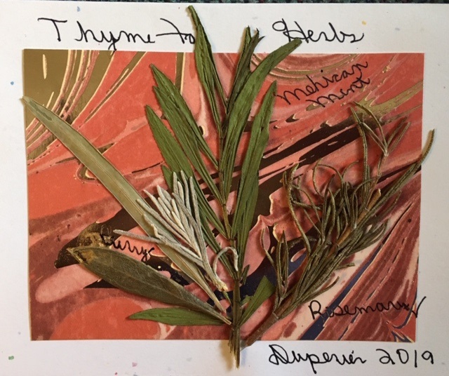 Dianne Herbs-With Overlay1 (1)